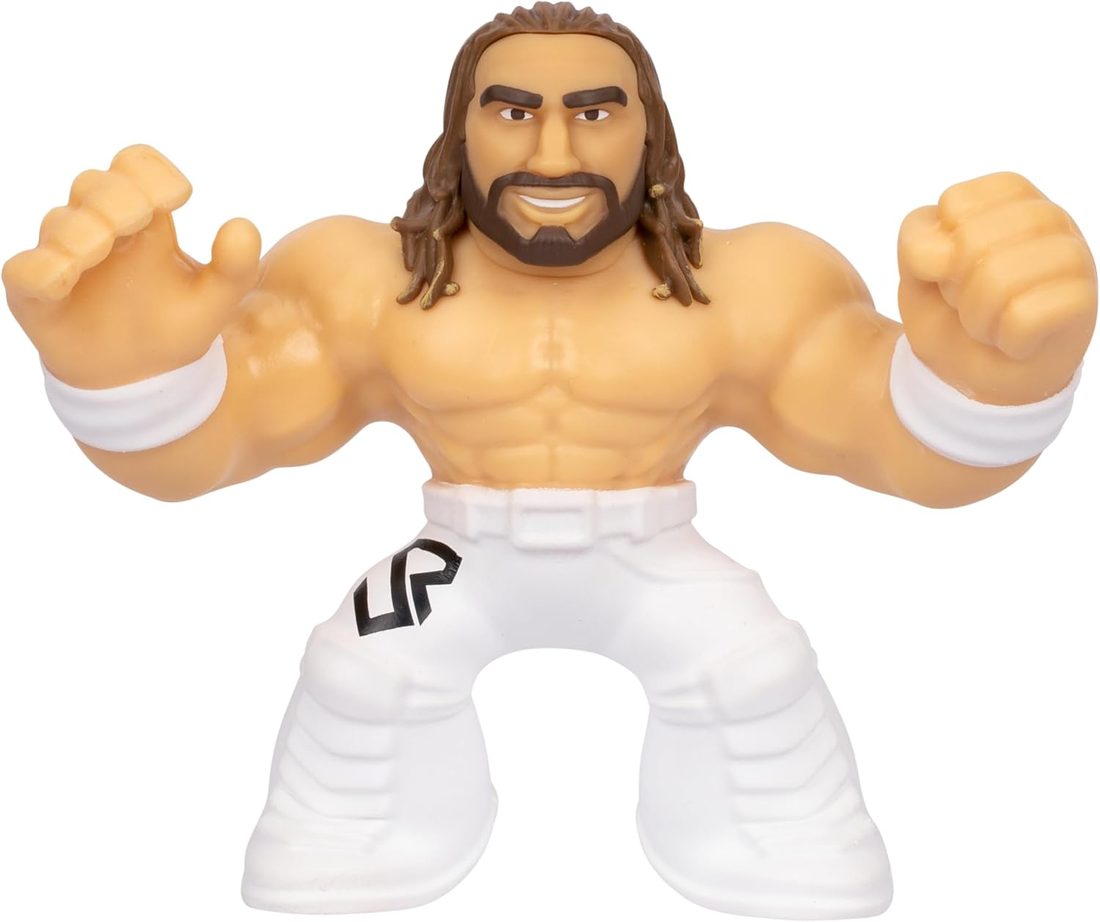 Goo Jitzu WWE Seth "Freakin" Rollins